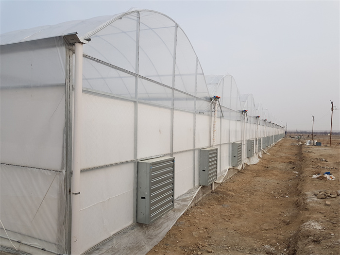 Large Greenhouse Turnkey Project Solution