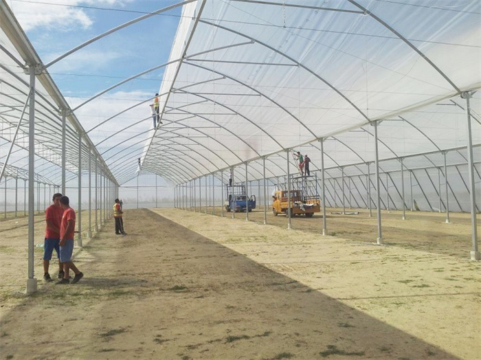 greenhouse metal frame