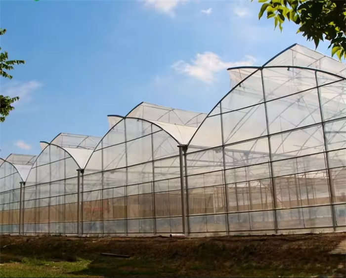 Greenhouse Metal Frame Structure Installation