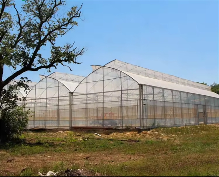 Greenhouse Metal Frame Structure Installation