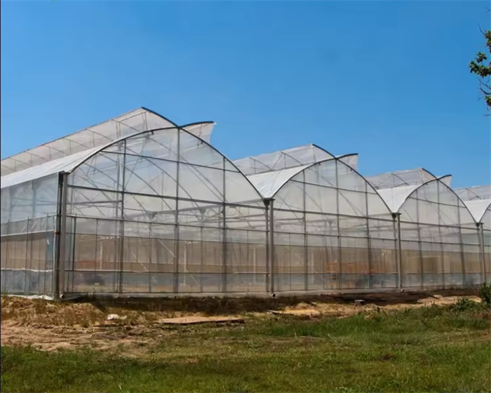 Greenhouse Metal Frame Structure Installation