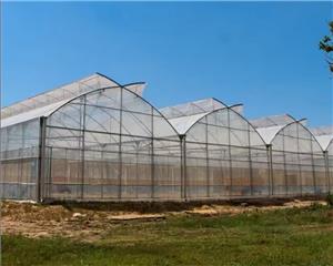 Greenhouse Metal Frame Structure Installation