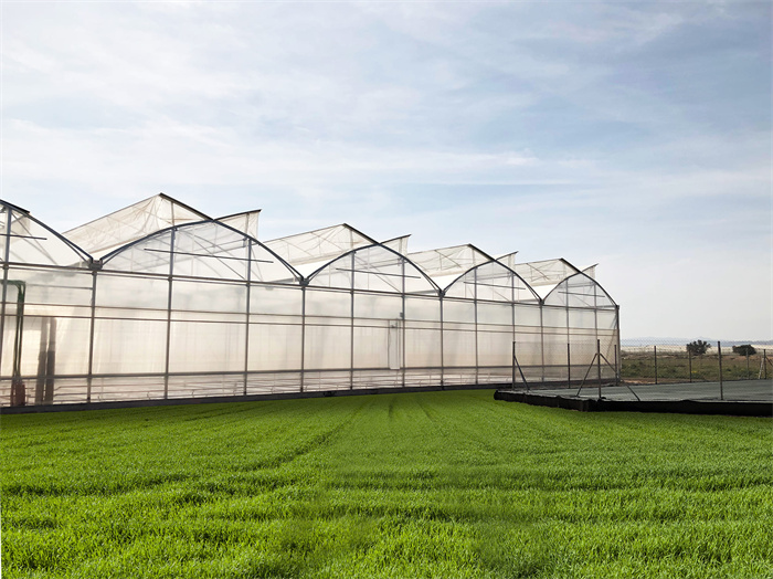Greenhouse Metal Frame Structure Installation