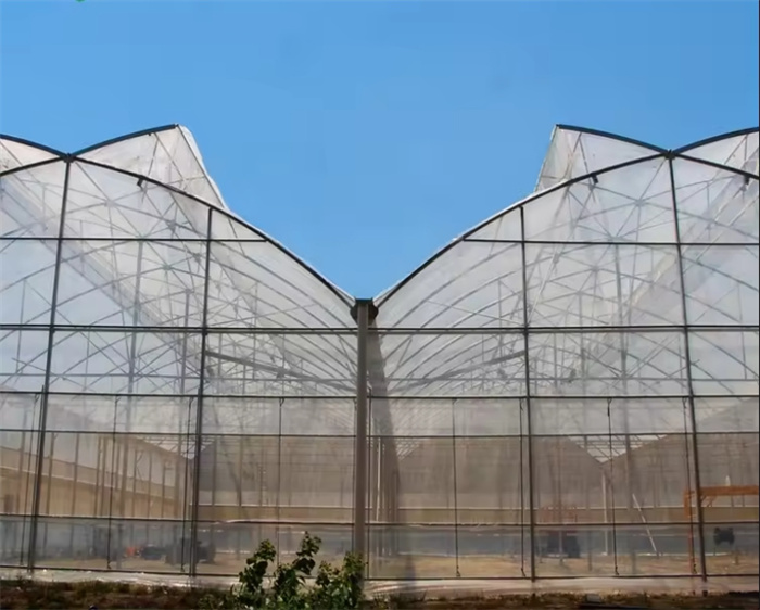 Greenhouse Metal Frame Structure Installation