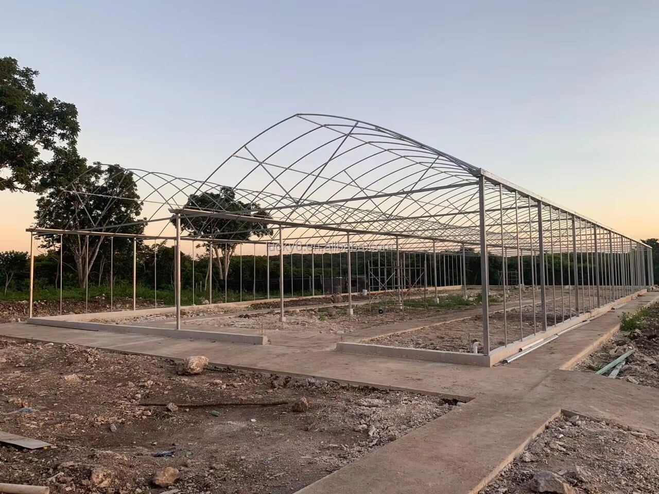 gutter connected greenhouse