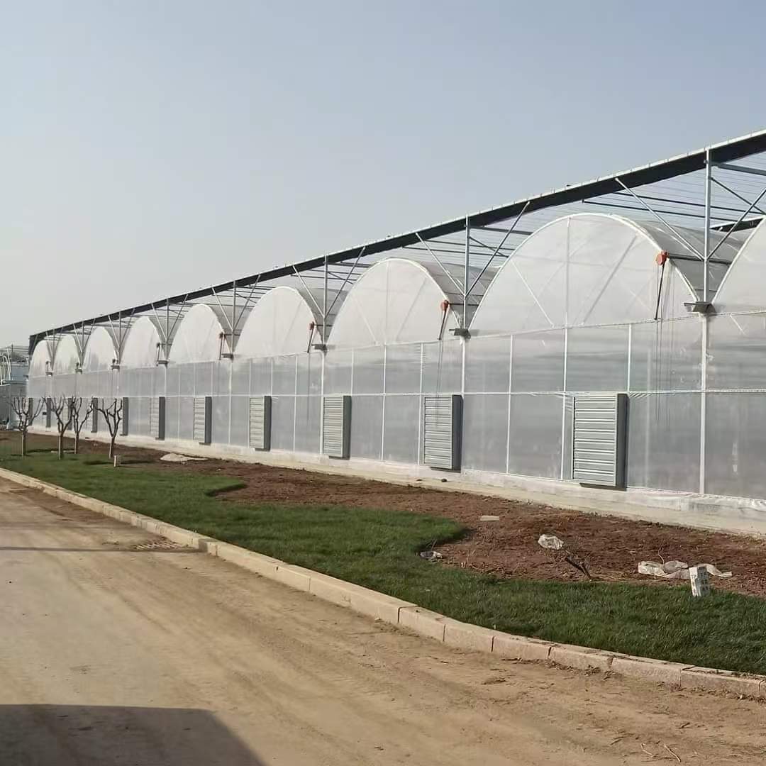Strong Structure Big Gutter Connected Greenhouse