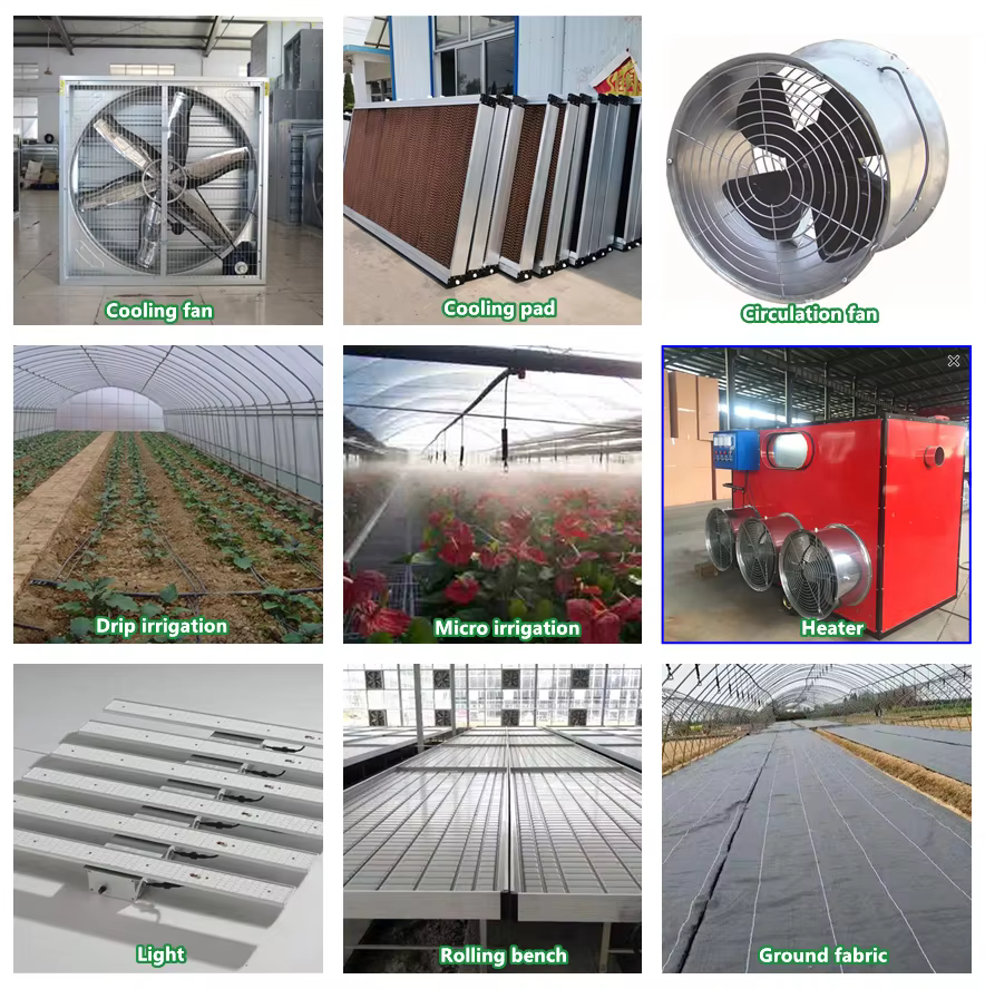 gutter connected greenhouse