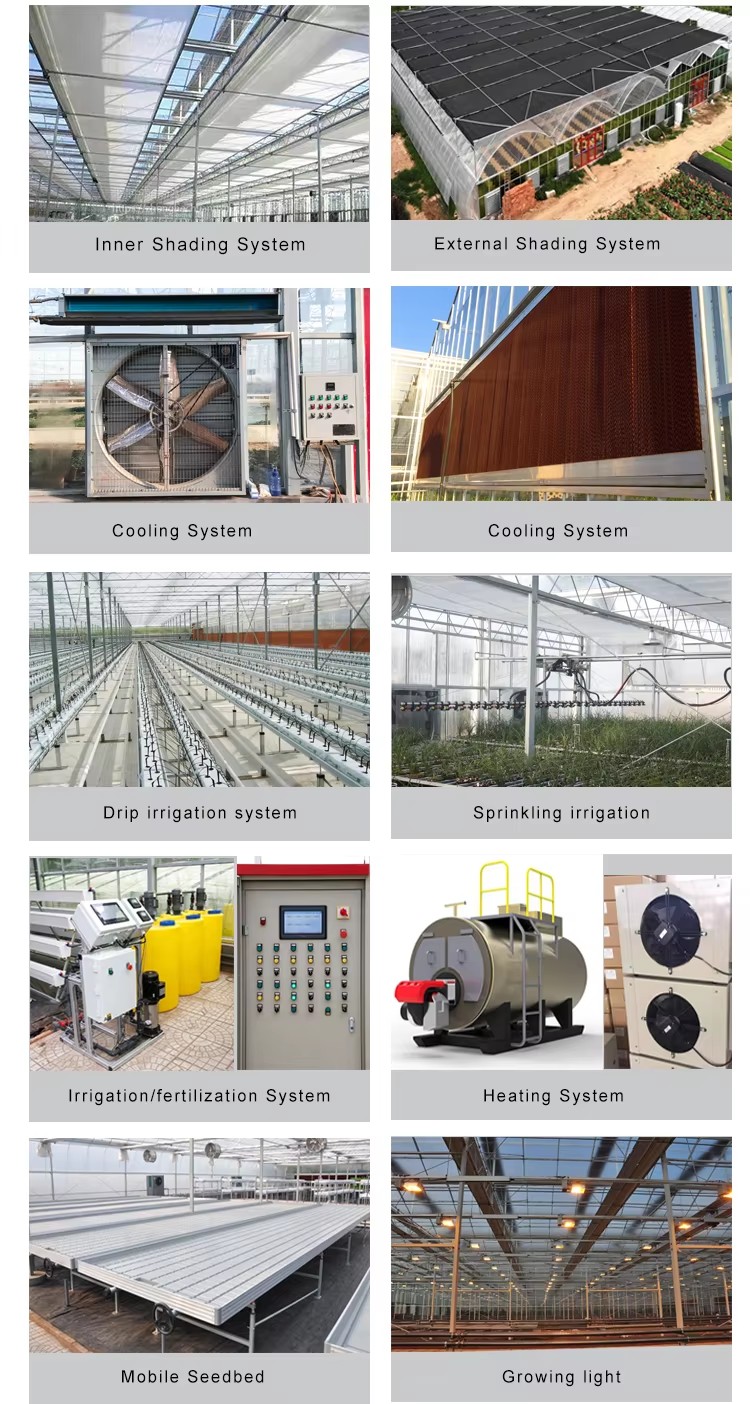 hydroponic green house