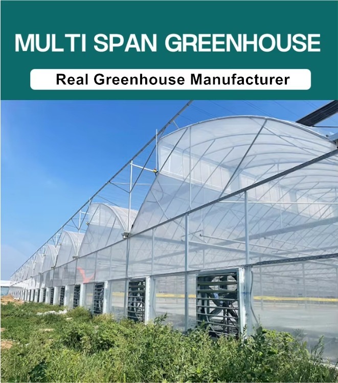 intelligent greenhouse