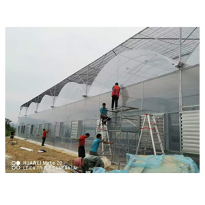 Automated Temperature Control Intelligent Smart Greenhouse