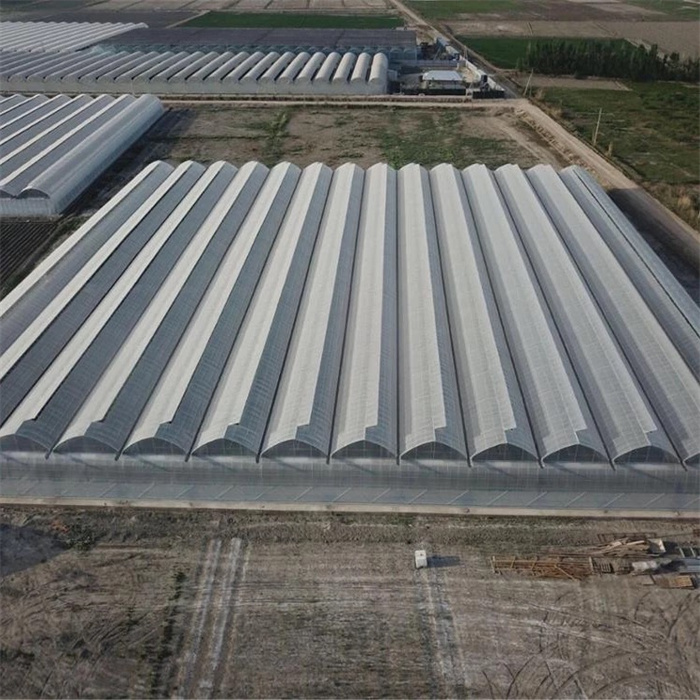 Automated Temperature Control Intelligent Smart Greenhouse
