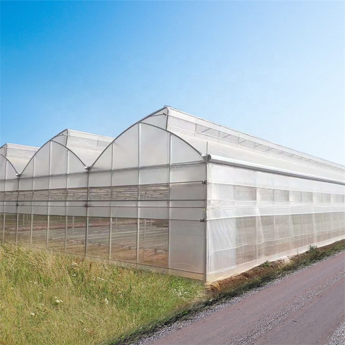 Automated Temperature Control Intelligent Smart Greenhouse