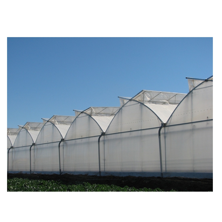 Greenhouse Tropical Climate Hot Weather