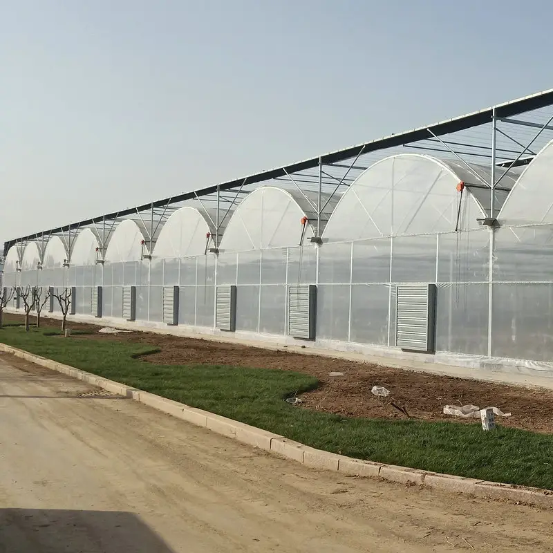 vegetable greenhouse