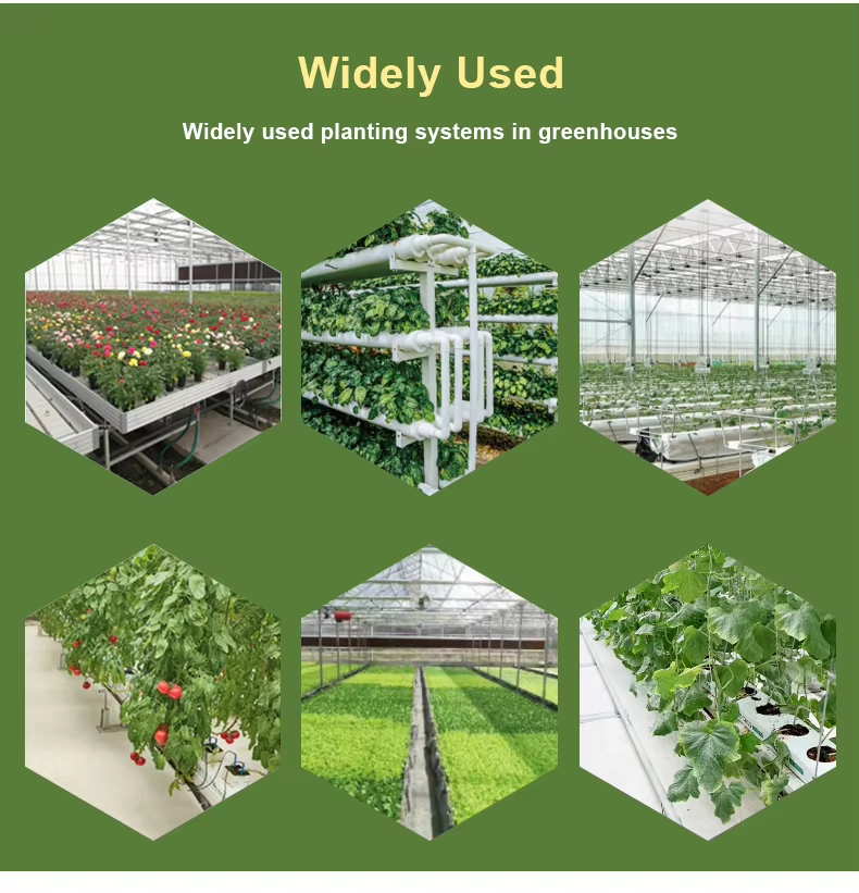 green house for vegetables