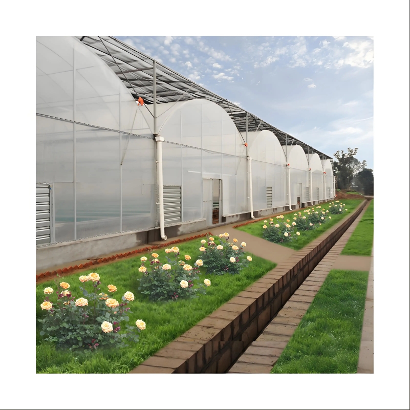 Vegetable Greenhouse For Tomato Cucumber Pepper