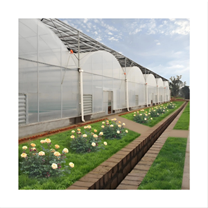 Vegetable Greenhouse For Tomato Cucumber Pepper