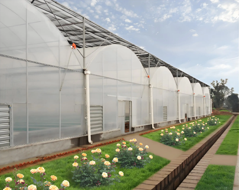 orchid greenhouse