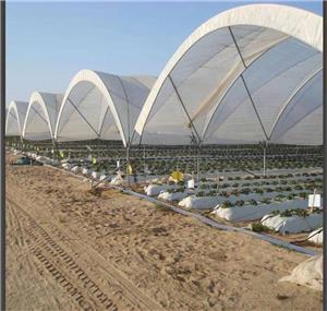 Cherry Grape Strawberry Greenhouse For Fruit