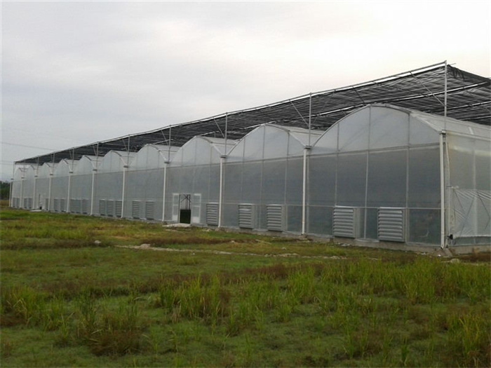 Agricultural Film Greenhouse Turnkey Solution