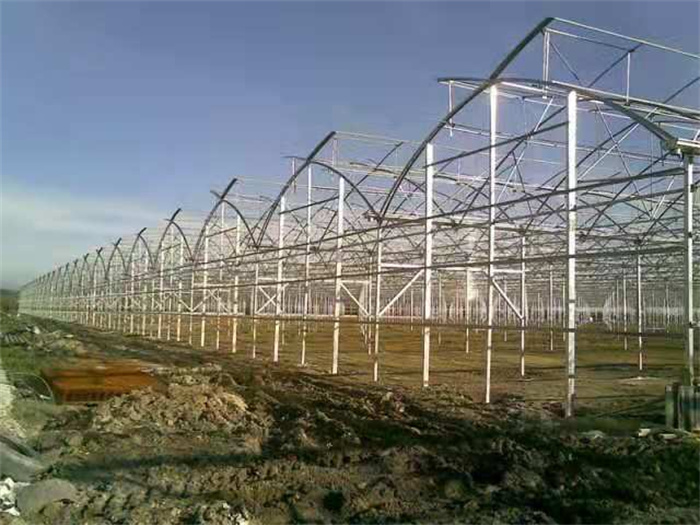 cucumber planting greenhouse