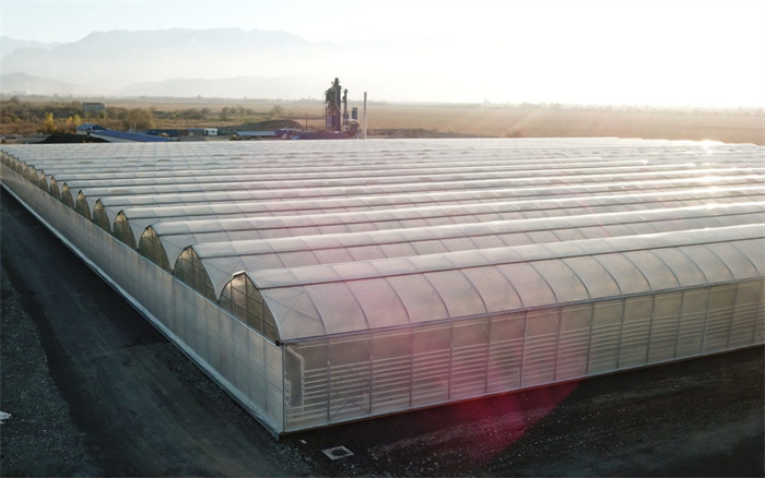 gothic greenhouse