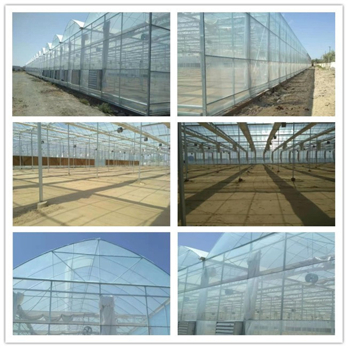 multi span gothic greenhouse