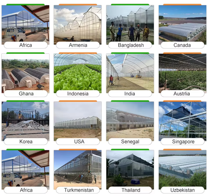 Agriculture greenhouse
