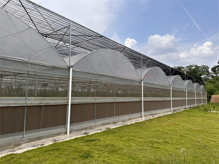200micron Film Cover Gothic Greenhouse Structure