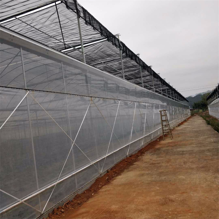 200micron Film Cover Gothic Greenhouse Structure