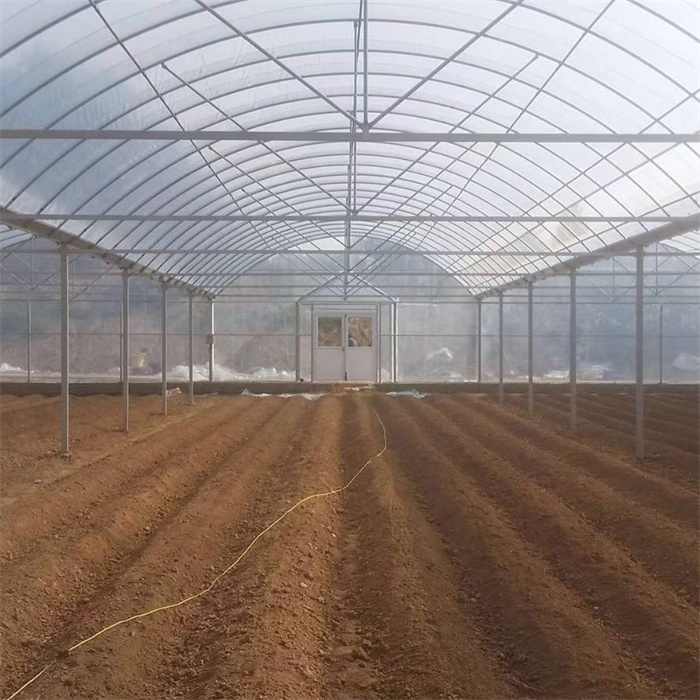 200micron Film Cover Gothic Greenhouse Structure