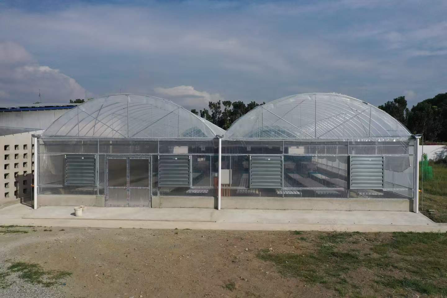 Multi Span Gothic Arch Greenhouse