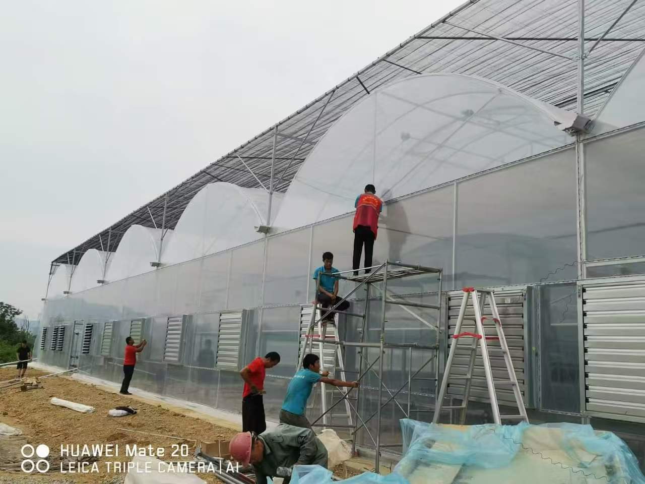 Multi Span Gothic Arch Greenhouse