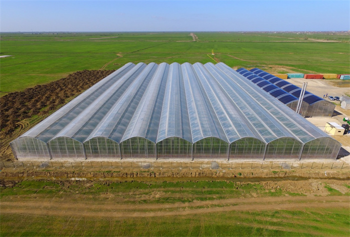 Tropical Climate Greenhouse For Desert