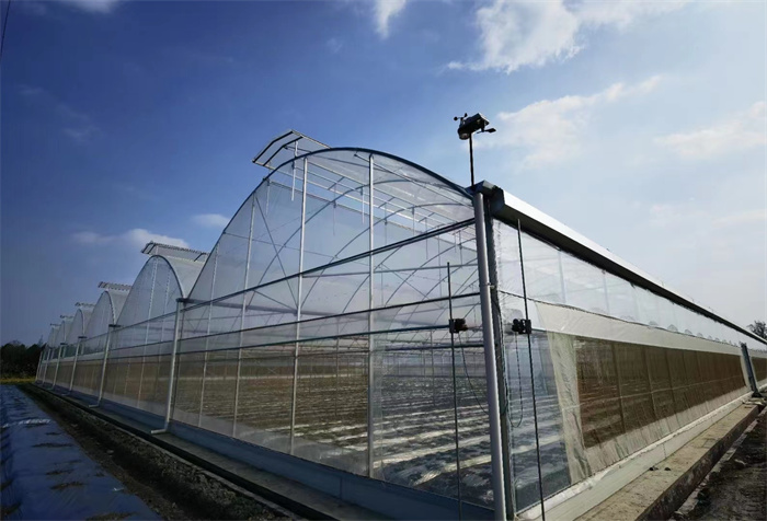 Tropical Climate Greenhouse For Desert