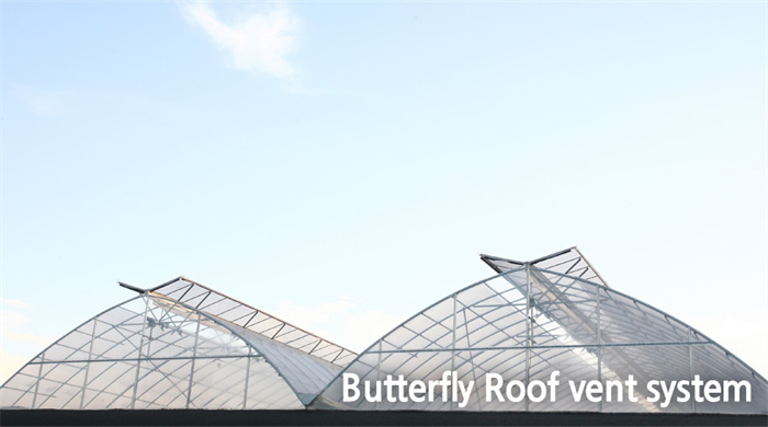 greenhouse good ventilation