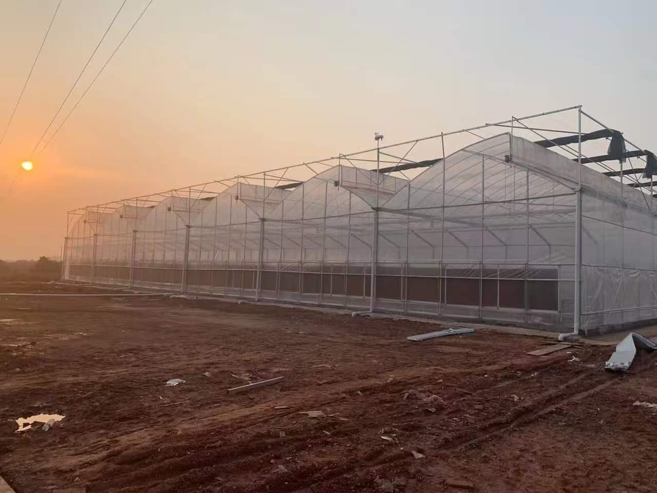 Multi-span greenhouse
