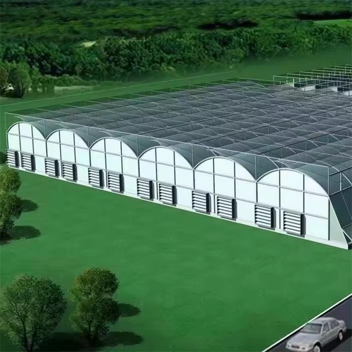 Multi-span Film Greenhouse With Cooling System