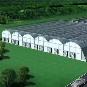 Multi-span Film Greenhouse With Cooling System