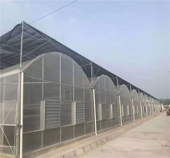 Multi-span Film Greenhouse With Cooling System