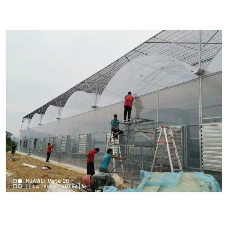 Multi-span Film Greenhouse With Cooling System