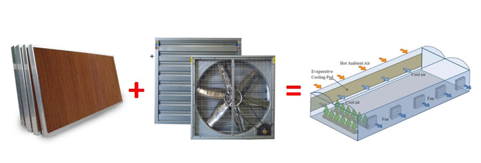 Greenhouse Cooling Exhaust Fan