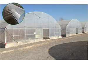 Greenhouse Polyethylene Plastic PO Film
