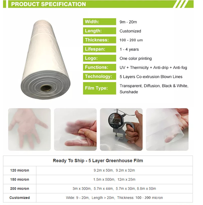 Greenhouse Polyethylene Plastic PO Film