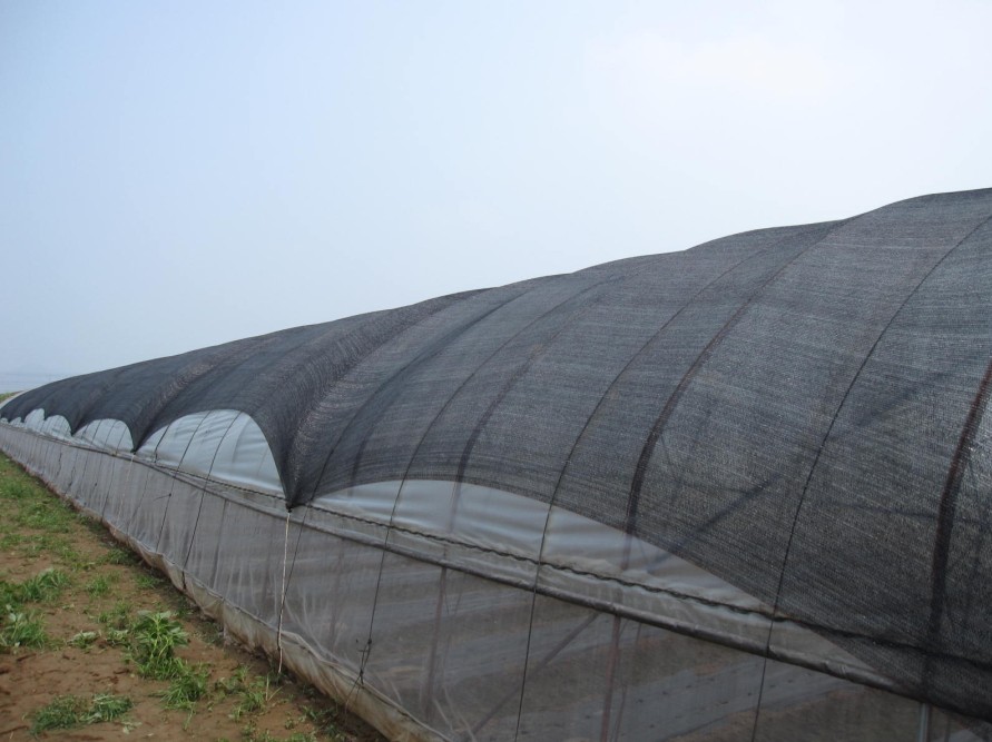 shade net