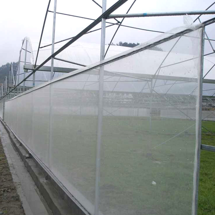 Anti Insect Proof Net