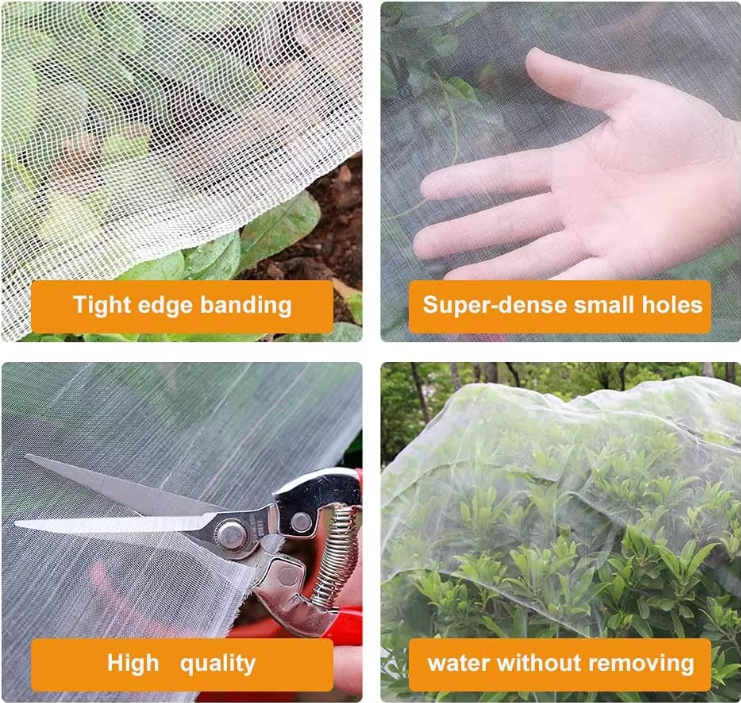 insect net