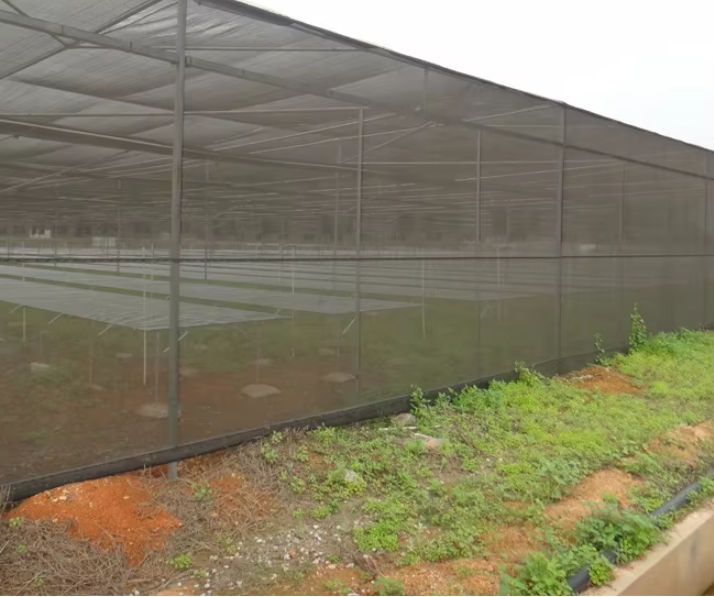 Flat Shade Net House Greenhouse