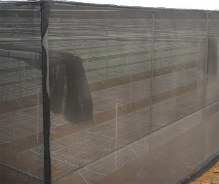 Flat Shade Net House Greenhouse