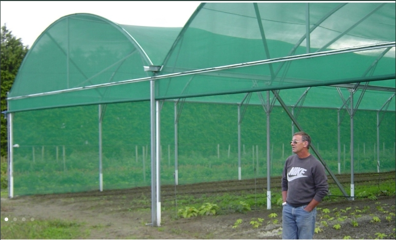 flat net greenhouse